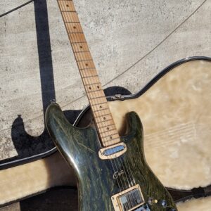 Guitarra Stratocaster de Algas